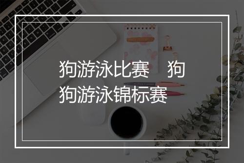 狗游泳比赛　狗狗游泳锦标赛